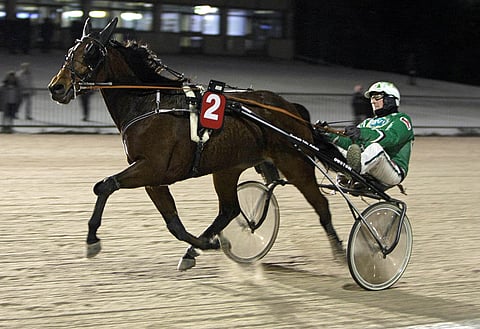 Wilhelm Nash starttaa Toto65:n avauskohteessa korkein odotuksin. Kuva: Pekka Salonen.