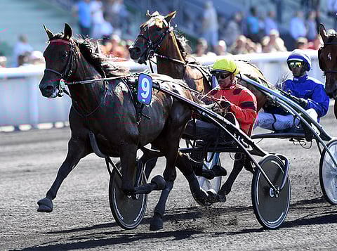Bold Eagle oli jälleen itse varmuus Ranskan ravipyhätössä Vincennesissä.