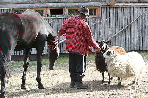 Kirjoituskilpailu Hevonen ja minä