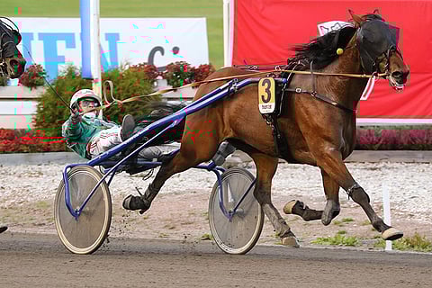 Past Or Flash maistuu kakkoskohteen kovasta kaksikosta enemmän ja jää varmaksi.