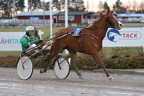 Turun Toto4-kierroksen suurimmaksi suosikiksi on luotettu toisen kohteen Celebration Song. Ari Moilasen ajokki varmistetaan ideasysteemissä. Kuva: Jarno Unkuri