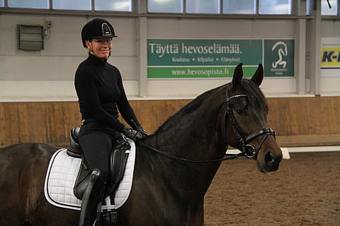 5-vuotias jalostusori Kyrö San Allegro valittiin mukaan TDF-ryhmään.