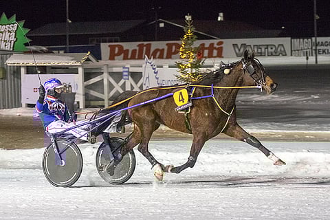 Ypäjä Hereiam teki kovan juoksun Solvallassa keskiviikkona. Kuva: Tuuli Nikki.