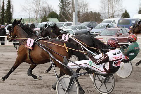 Porin Kultaloimessa vuonna 2015 kakkoseksi (kuva) sijoittunut Big Sky Hurricane palasi voittokantaan Jyväskylän Triplatonniraveissa. Kuva: Jarno Unkuri