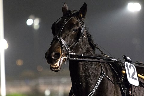 Caramel Kid pystyy paljoon torstaina Kouvolassa.