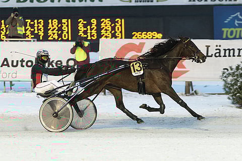 M.T. Kitty ei häviä Kuopiossa.