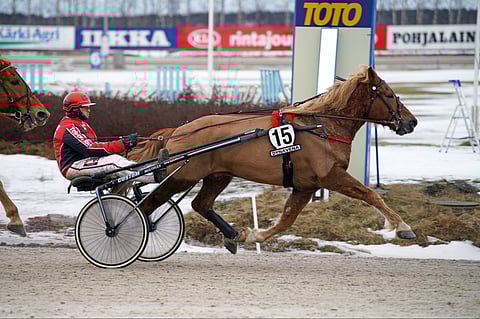 Sisuvius ja Hannu Kamppuri olivat Toto76-avauksen sankarit.