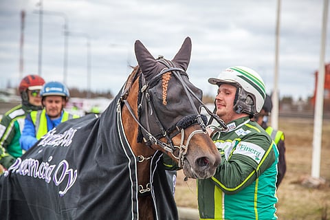 Koivikon Kalle jouduttiin lopettamaan vaivakierteen seurauksena. "Hevonen ei palannut enää sille tasolle, mitä sen voittosumma olisi edellyttänyt", Markus Porokka pahoittelee.
