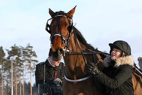Heli Taipaleen Victory Zet juoksee lauantaina kotiratansa jackpot-kierroksella. Kuva: Satu Pitkänen.