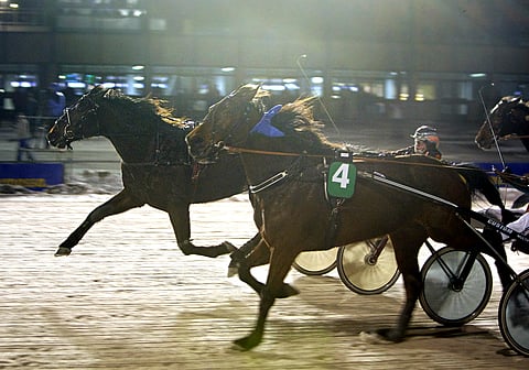Callum ehti niukasti Hopeless Guyn ohitse Vermossa.