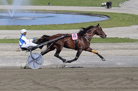 D.D.'s Hitman ja Peter Ingves Oslon Bjerkessä kesäkuussa 2016.