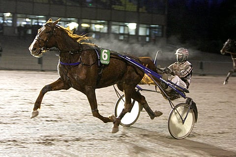 El Dirtyman karkasi vastustajiltaan Vermossa.