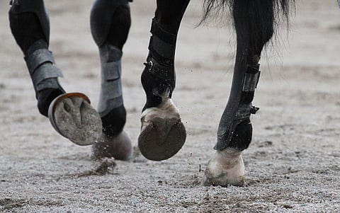 Neljä kuukautta kestänyt kenkäpakko päättyy