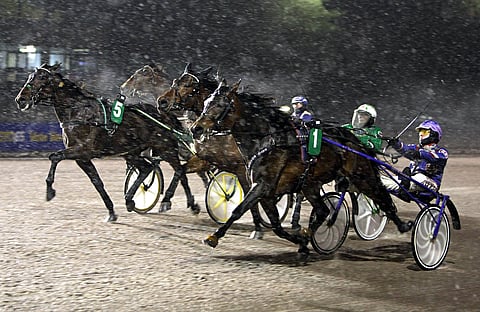 Ratu Royale piti keulasta pintansa Vermossa.