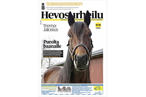 Kuukauden hevonen syntyi kovapäiseksi