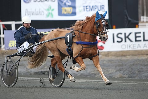 Kartellilla on 40 metrin takamatkaltakin sopiva tehtävä.