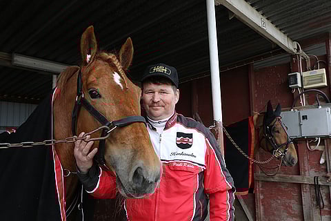 Tähen Toivomus on Ellin Sisun ohella Pauli Raivion tallin tähtihevonen.