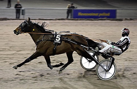 Aragorn Hossia kannattaa pelata.