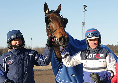 Twigs Voici oli pysäyttämätön tammalähdössä.