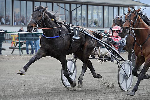 Valle Streamline räväytti maalisuoralla ohi keulahevosen.