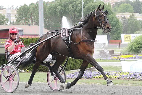 Elian Web. Kuva: Jarno Unkuri