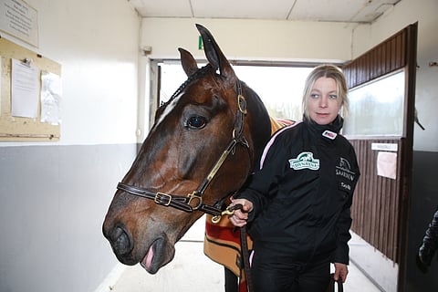 Katja Melkolla ja Elian Webillä ei ole menestyspaineita keskiviikkona Solvallassa. Kutsu hevosen uran toiseen Elitloppetiin on jo taskussa. Kuva Totofoto