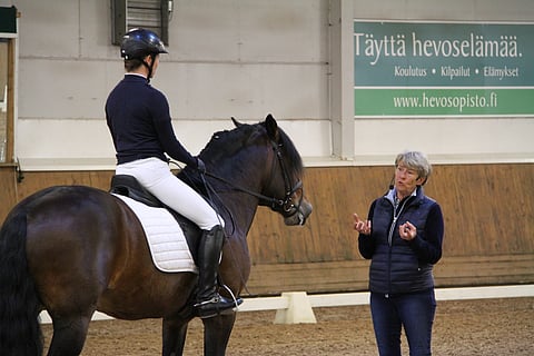 Kyrklund opettamassa suomenhevosta ja ja hevosalan ammattilaisten opettajaa Ypäjällä reilu vuosi sitten.