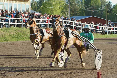 Ari Moilasen neljän voiton suoran toinen "tolppa" tuli Jouni Hillbomin suojatilla Tamburiinilla. Kuva: Satu Pitkänen