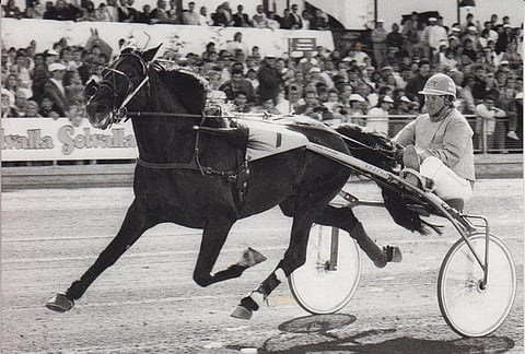 Pertti Puikkosen ohjastama Lucky Number oli ensimmäinen Suomessa syntynyt ravuri Elitloppetissa. Kuva Juhani Länsiluoto.
