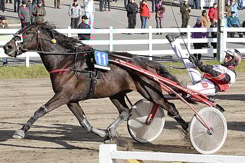 Saxoi jää pois finaalista