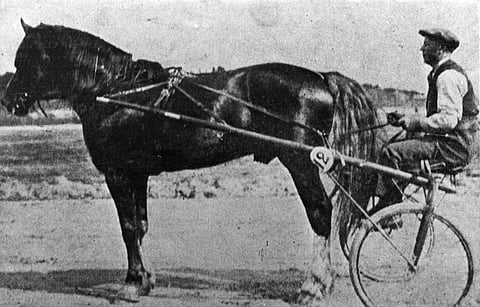 Ravikuningas Murto ja Kauko Eestilä.