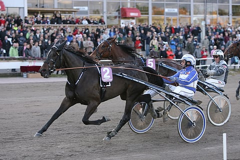 Kriteriumin finaalissa 2008 Target Hoss piti Boulder Classicon kurissa ja juoksi SE-ajan 15,6a / 2600 metriä.