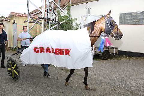 Tammojen nelivuotiseliitinvoittaja Umaticaya matkalla ruutinitoimenpiteenä suoritettavaan dopingtestiin. Kuva: Jarno Unkuri.