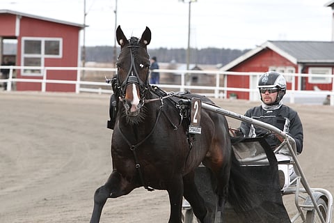Workout Wonderin kanssa menestynyt Jarno Kauhanen on saanut talliinsa uuden vahvistuksen.