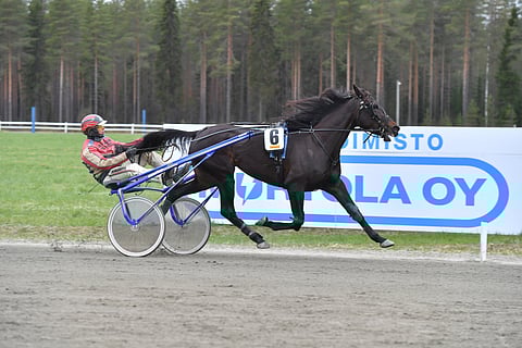 Maana's Black Rose vei nimiinsä Toto76-avauskohteen Vieremällä.