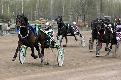 William Birdland antoi voimiensa puhua Vermossa.