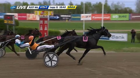 Workout Wonder kukistaa Wild Honeyn. Kuva: ATG Live