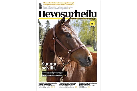 Kuukauden hevosena "Enska"