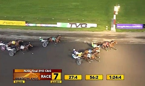 Long Tom piti varmasti ykköseksi. Kuva: Meadowlands stream