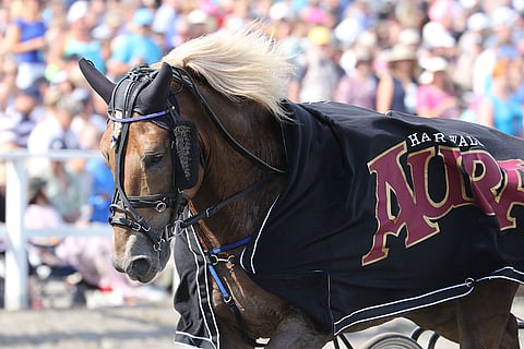 Ravikuningas Costello jää ainakin hetkeksi tauolle, mutta mistään vakavammasta ei ole kyse.
