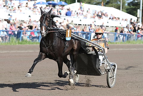 Kovakuntoinen Workout Wonder lähtee matkaan kolmosradalta. Kuva: Jarno Unkuri