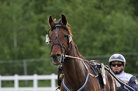 Jani Ruotsalaisen ajama Driller Man saattaa johtaa startista maaliin.