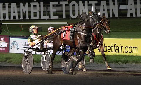 You Know You Do voitti lopulta helposti, mutta Captain Morgan varmisti kolmannella sijallaan suomalaisväriä 2-vuotiaiden Peter Haughton Memorialin finaaliin viikon kuluttua. Kuva: Michael Lisa