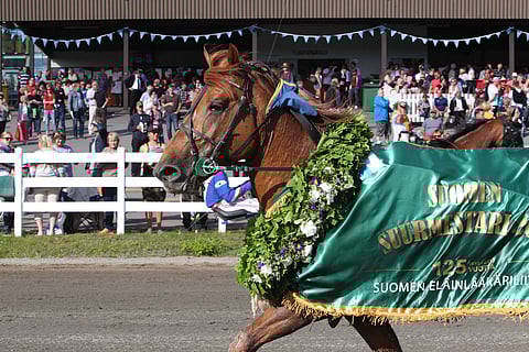 Camri heitti kovan haasteen muille kuningaskandidaateille Mikkelin Suurmestaruudessa. Kuva: Totofoto.