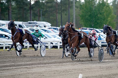 Like You kiersi tammalähdön voittoon takamatkalta.