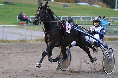 Dream Divine on voittanut kärryt perässä 19 kertaa, ja nyt tuli montéssa ensimmäinen tikku.