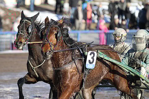 Enjoy Pepperillä on kolmeen viime starttiin kaksi kakkosta sekä viimeisinpänä voitto paikallisraveista. Tänään tamman kyytiin hyppää toista kertaa Antti Veteläinen.