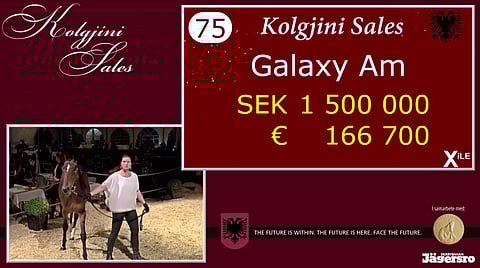 Galaxy Am oli Kolgjini Salesin toiseksi kallein. Kuva: Kolgjini Sales live-stream