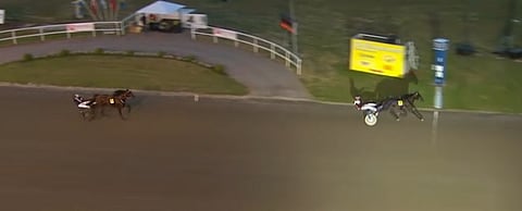 Grainfield Ace voitti selvästi erotusajon, mutta tuomaristo hylkäsi juoksun. Kuva: ATG Live