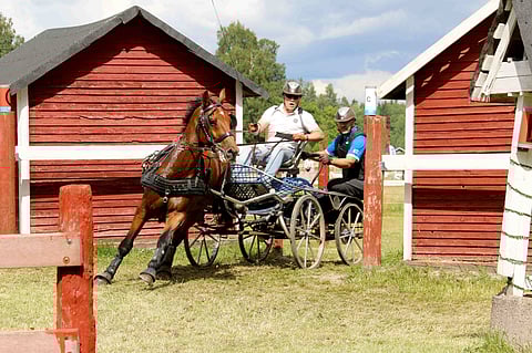 Lauantaina maratonilla Heikinheimo ja El Carillo olivat täysin ylivoimaisia.